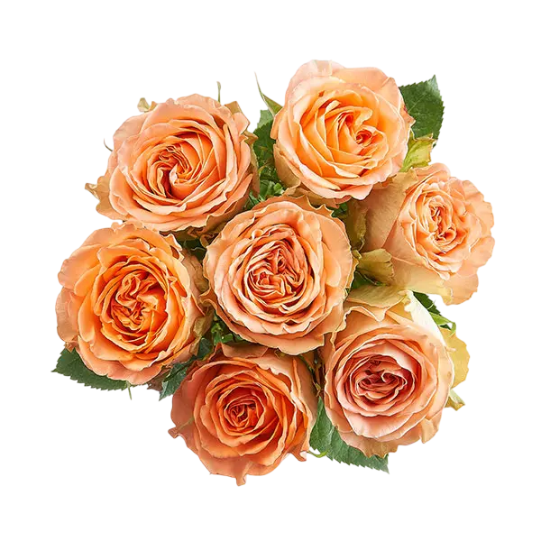 country home garden roses bouquet from Ecuador