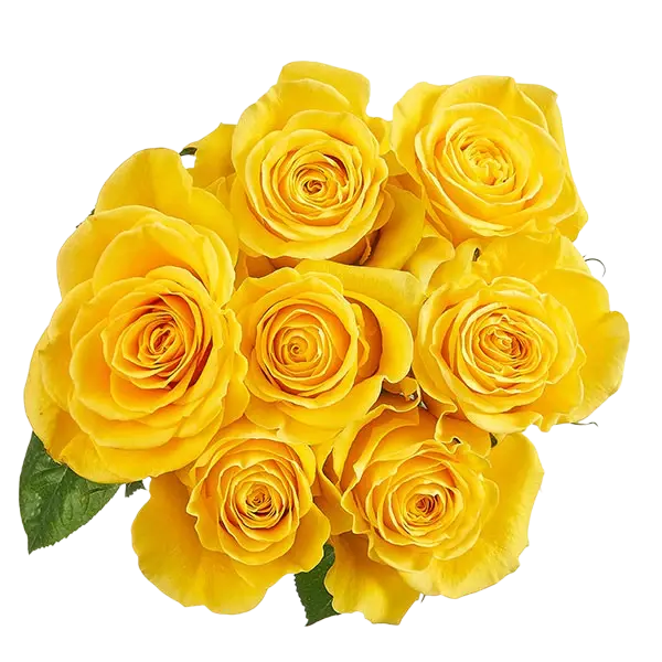 brighton yellow roses bouquet from ecuador