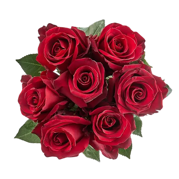 explorer red roses bouquets from ecuador