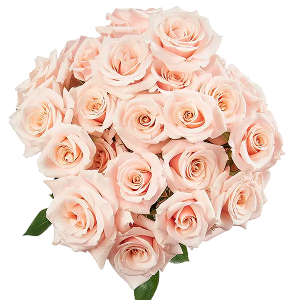 pink mayolika spray roses bouquet from Ecuador