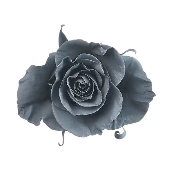 Silver Tinted Rose